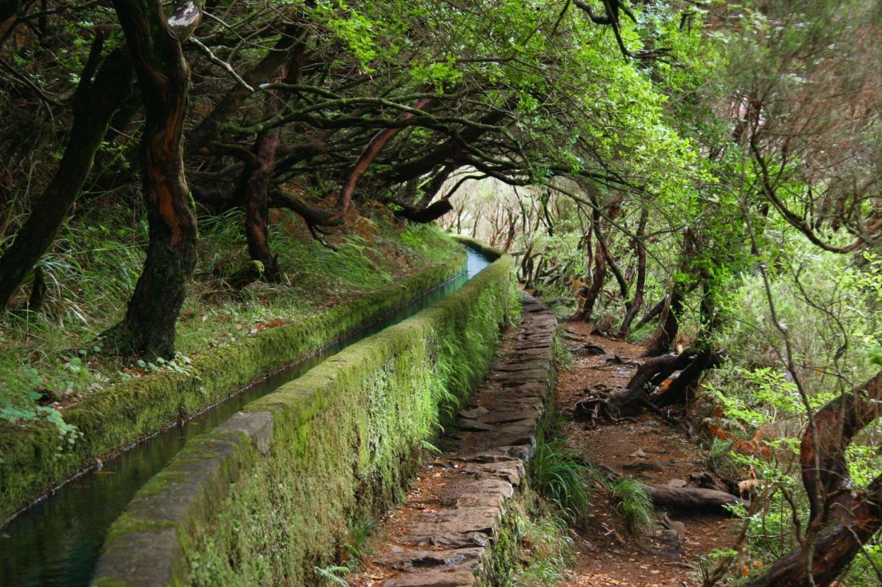 Lucilia'S House Villa Calheta  Bagian luar foto